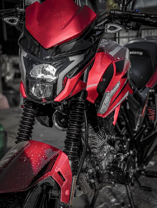 Мустанг Фортуна 200