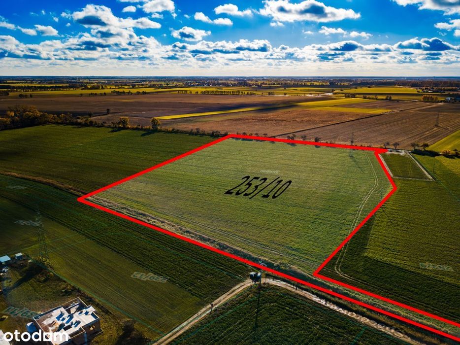 Zalasewo, ulica Spacerowa Nowy podział