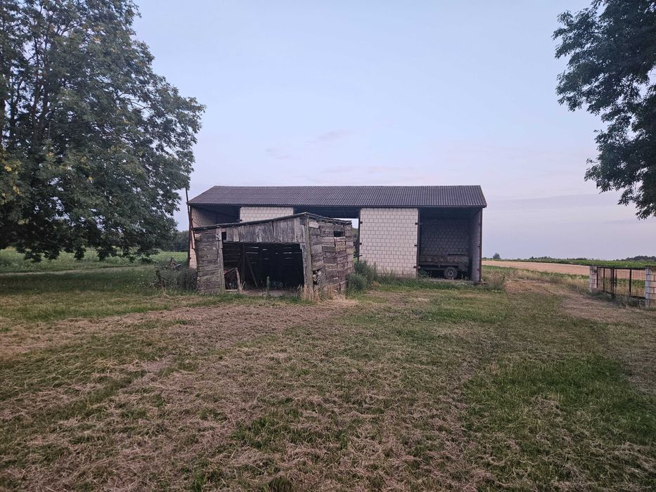 Wyjątkowe gospodarstwo rolne nieopodal lasu