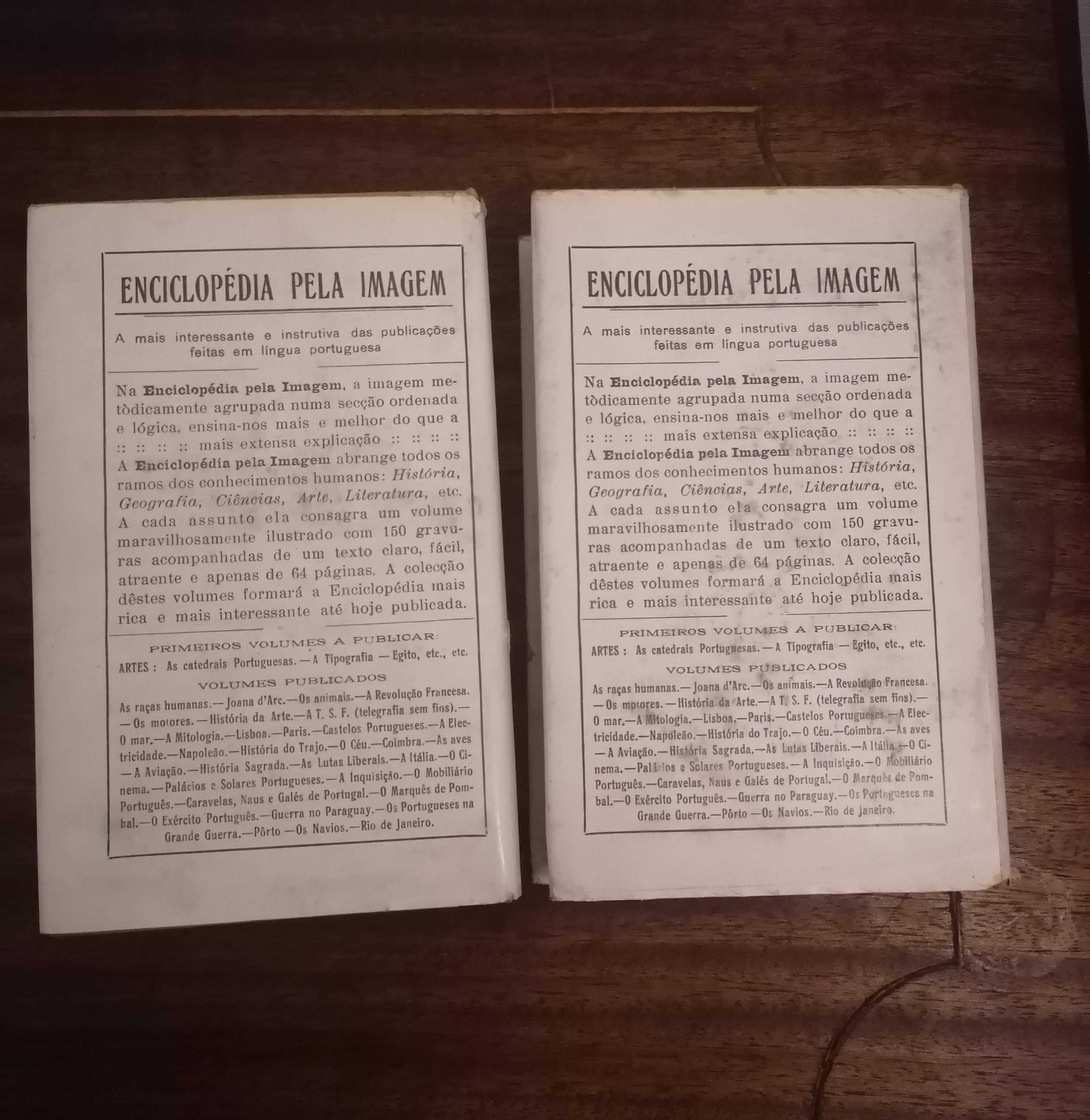 “Os Três Mosqueteiros” de Alexandre Dumas (2 volumes)