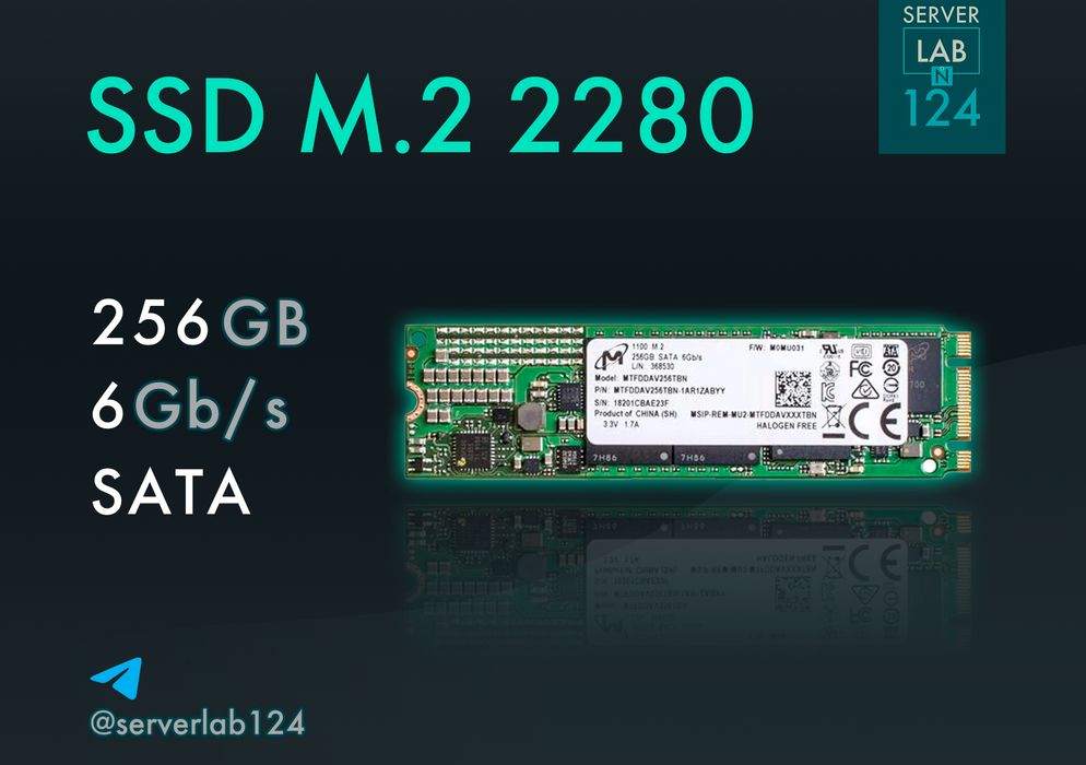 Накопичувачі SSD 256GB M.2 SATA 2280