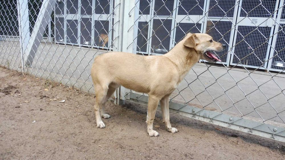 Rozbrykany Tymianek potrzebuje stabilnego domku na już