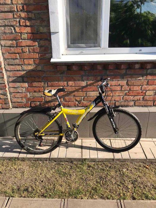 Велосипед Winner Amigo - 24