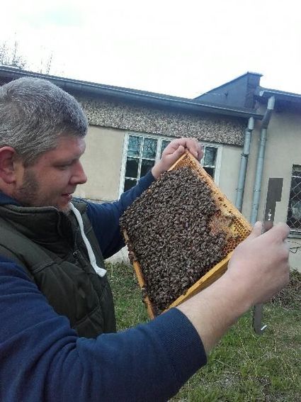 Matki pszczele nieunasienone