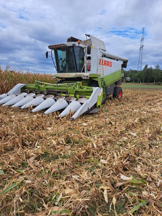 Usługi koszenia kukurydzy