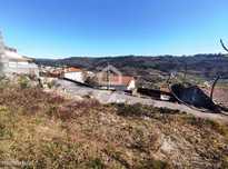 Terreno, Povolide