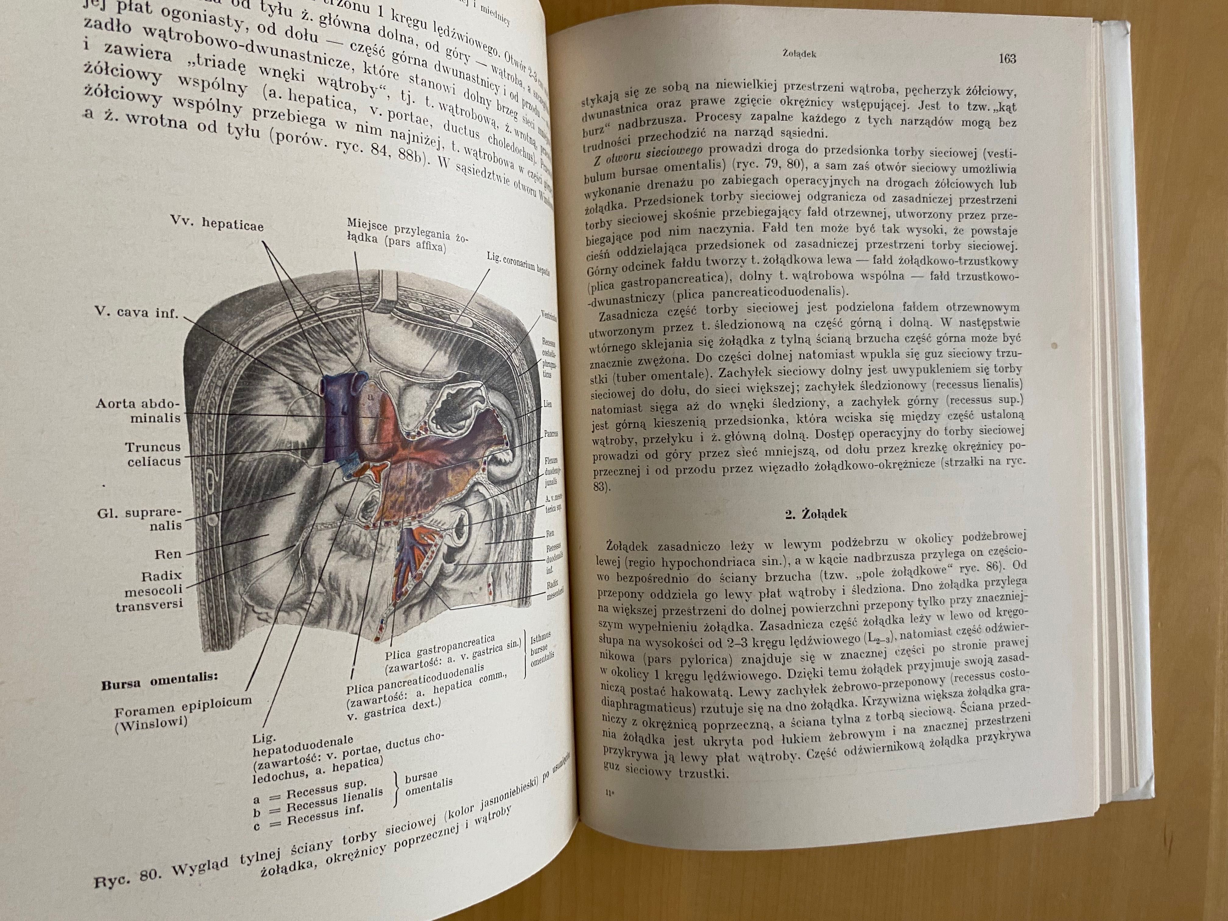 Anatomia topograficzna Johannes W. Rohen