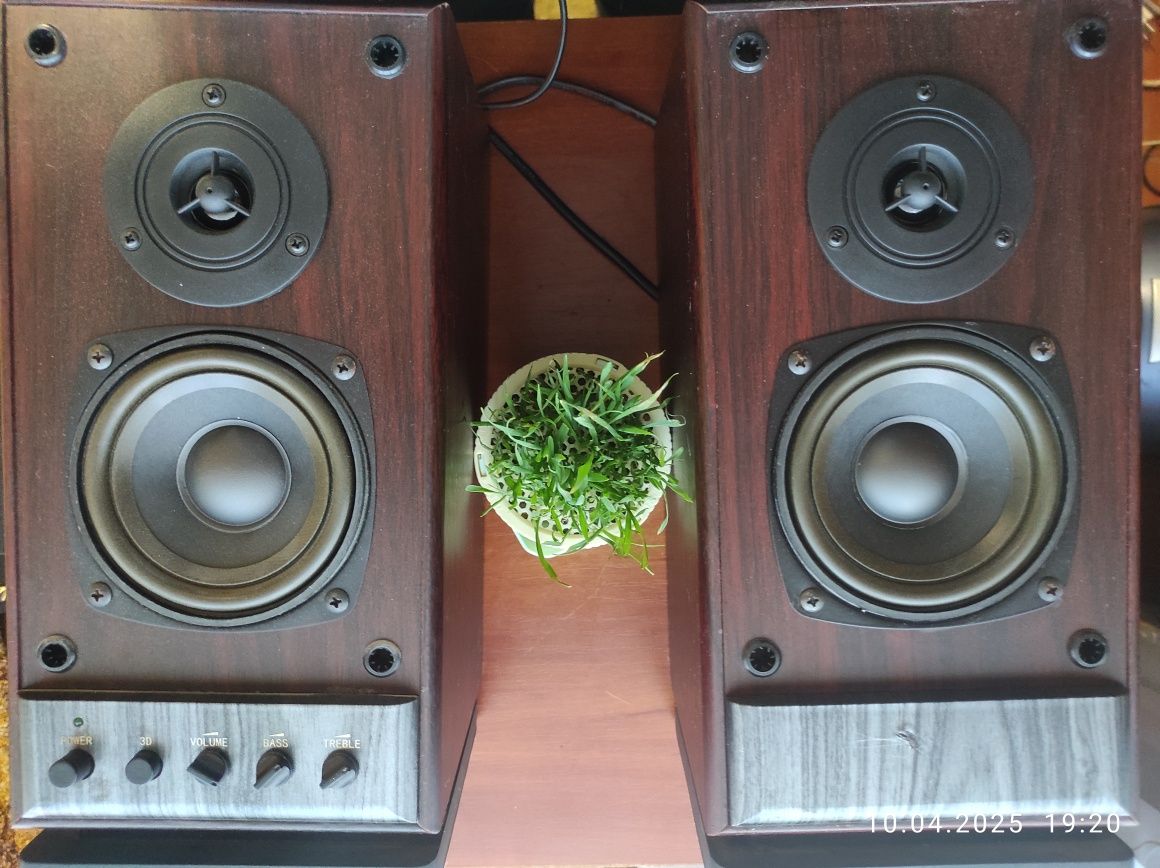 Активні колонки NewTone NT-3000