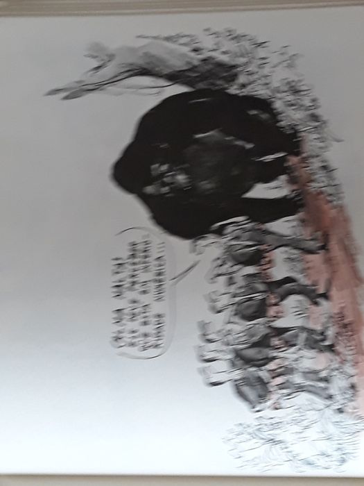 Livro cartoonista Augusto Cid "Que se passa na frente?!! "