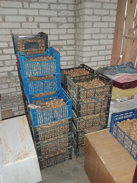 Sprzedam to co na zdjęciach