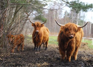 Agroturystyka nad morzem wakacje dla dzieci nocleg wyżywienie Majówka