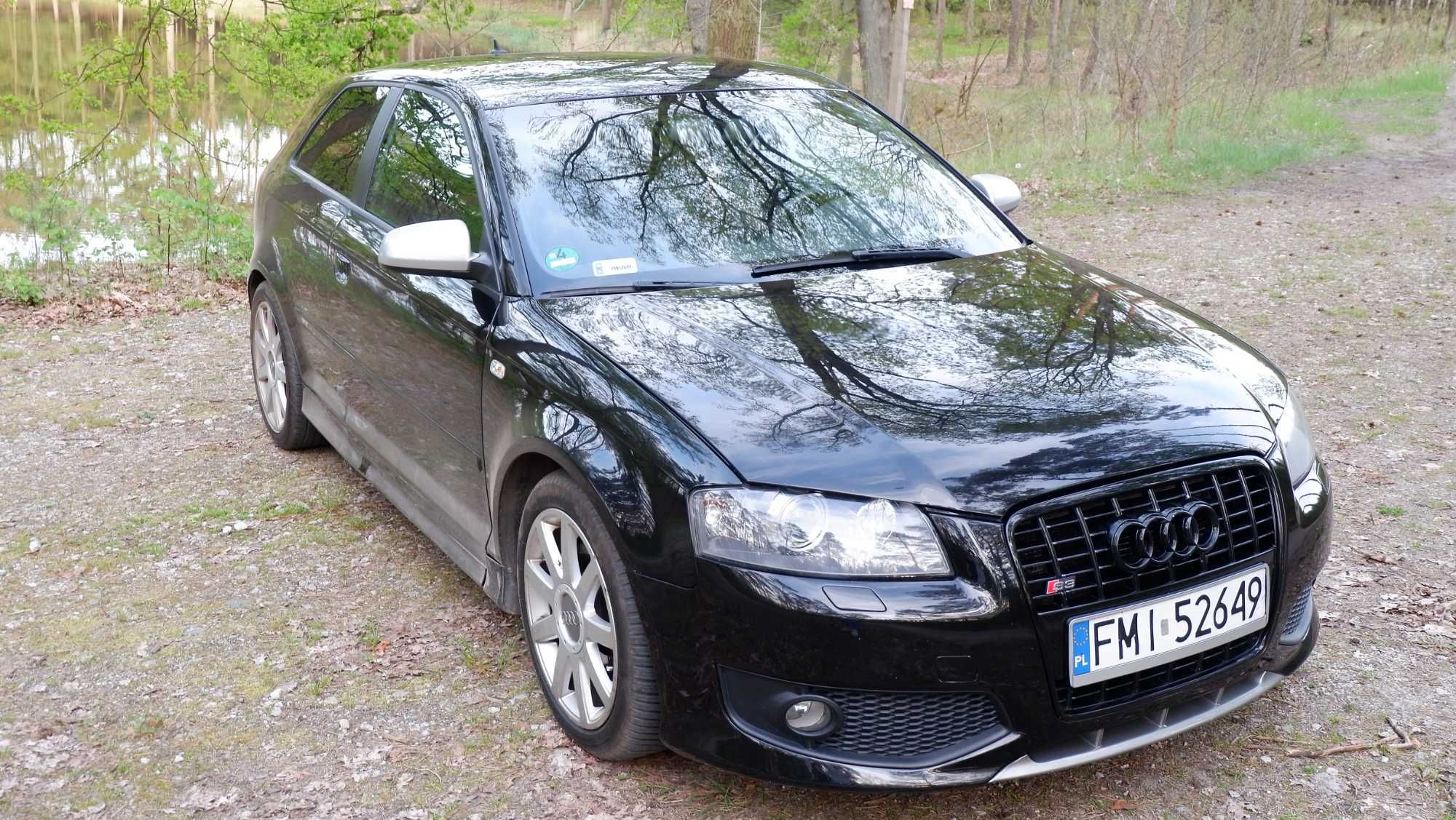 Audi A3 8P 2.0 TDI