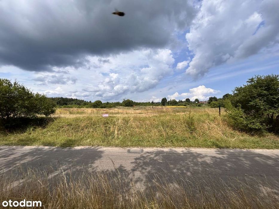 OKAZJA- działka 4800m2 - TYLKO U NAS!!