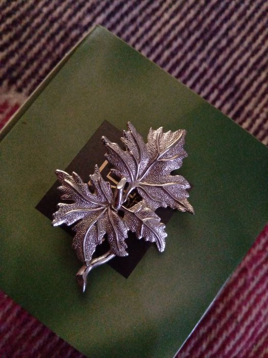 Красивая брошь, кольца