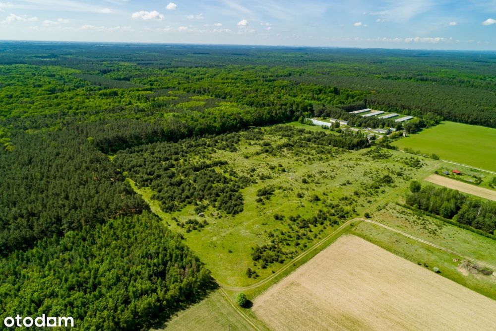 29 działek budowlanych w Puszczy Zielonce