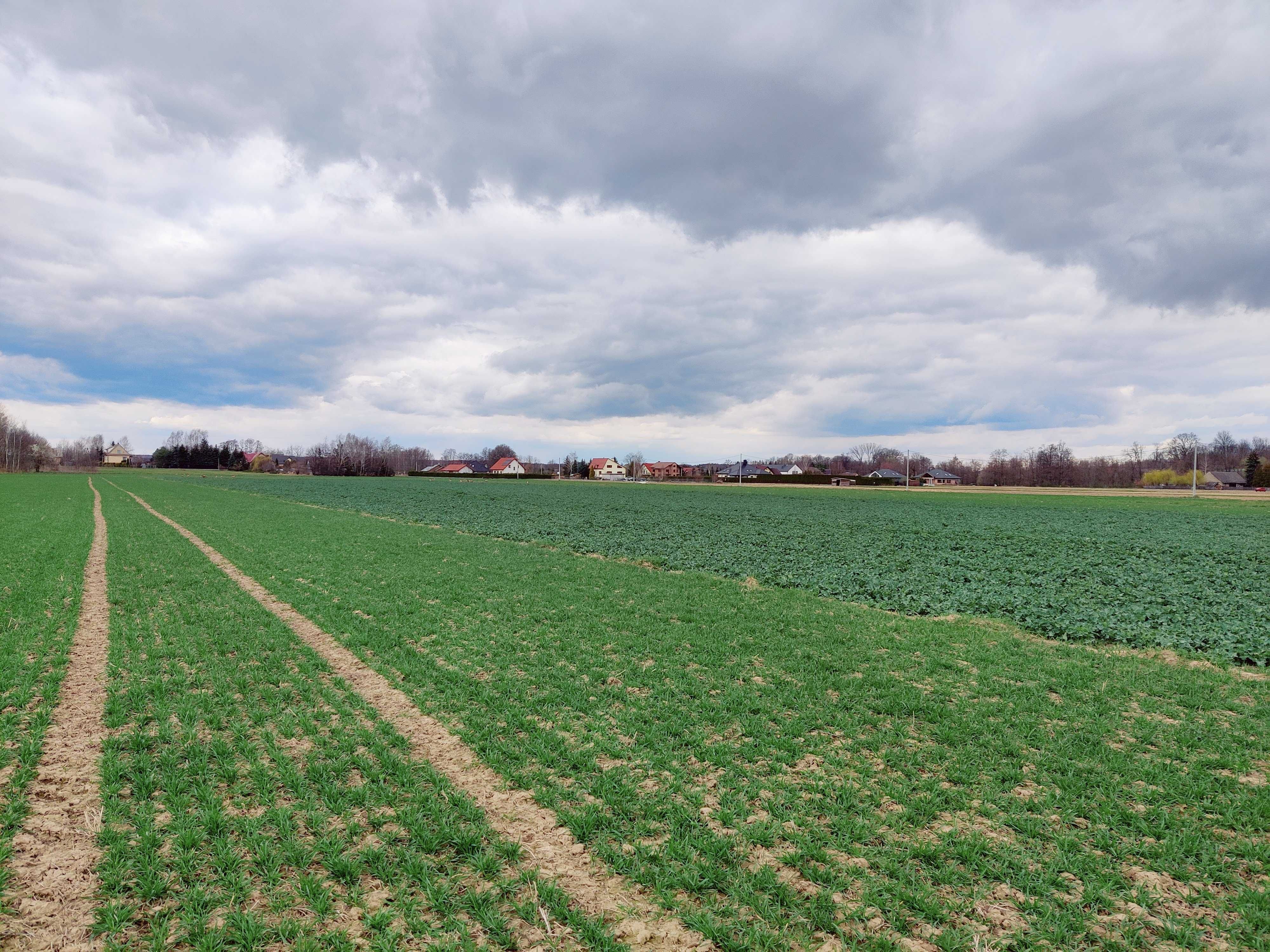 Działka budowlana 10 arów Wola Dębińska (trasa Brzesko-Tarnów)