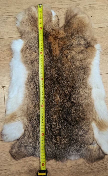 Продам шкури кролів