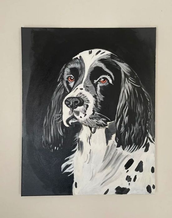 Portret Cocker Spaniel