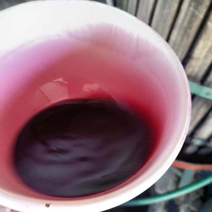 Vinho tinto verde novo.