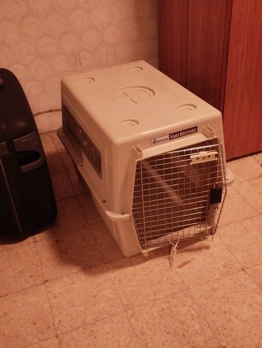 Caixa de transporte viagem, animal