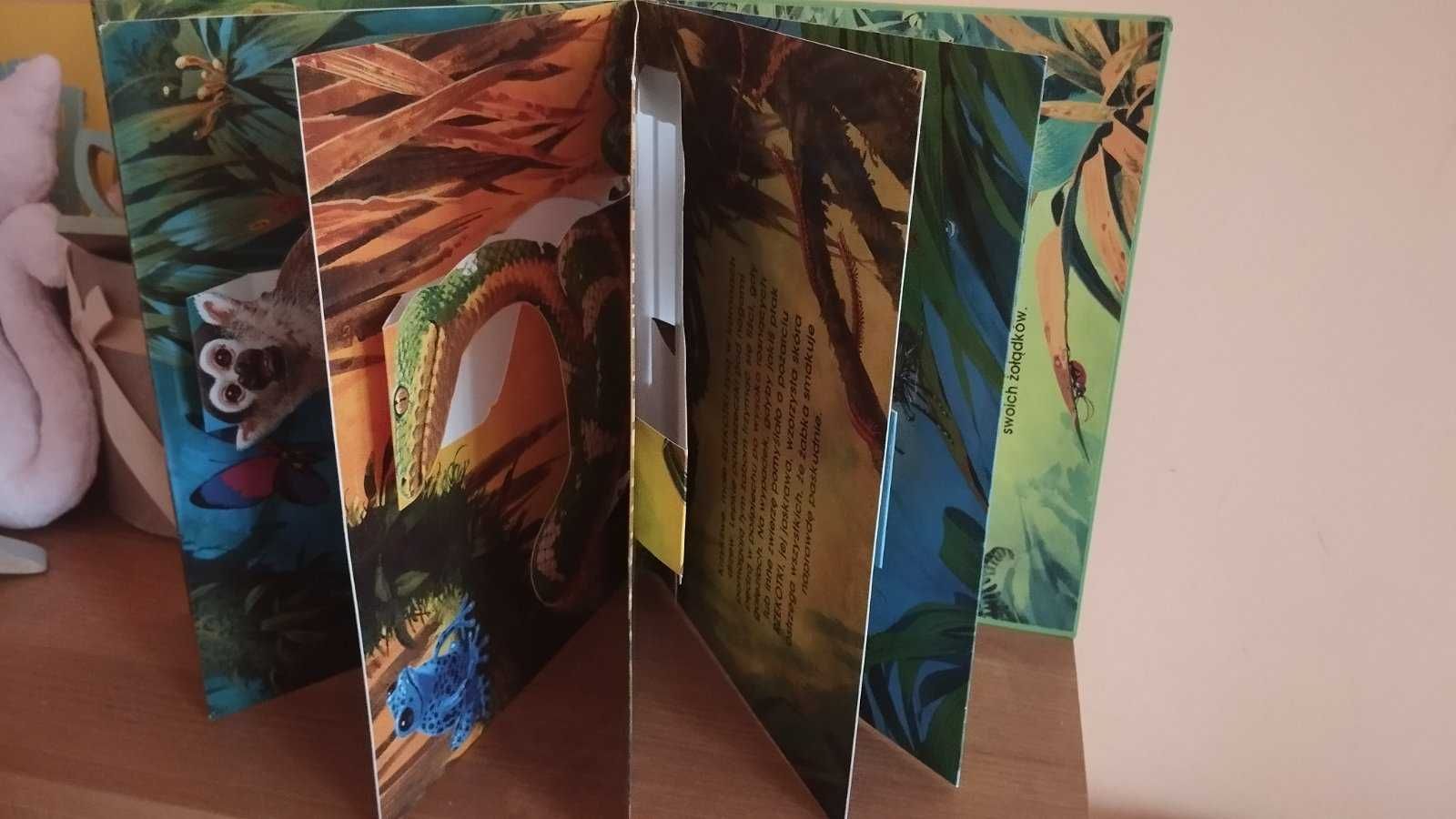 Zwierzęta dzungli książkа pop-up