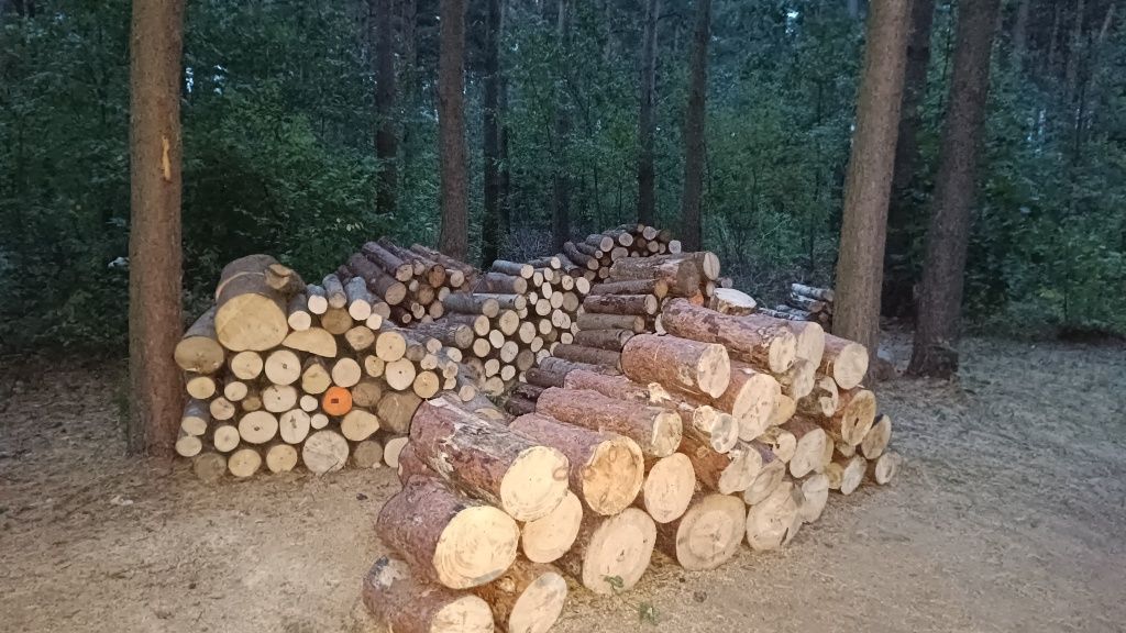Drewno kominkowe twarde i miękkie
