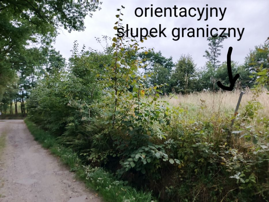 REZERWACJA Działka budowlana 11 ar Kobylec