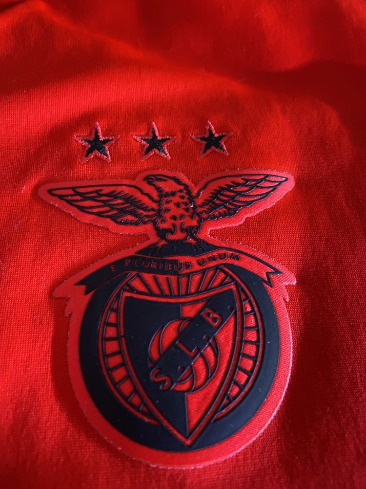 Casaco original slbenfica