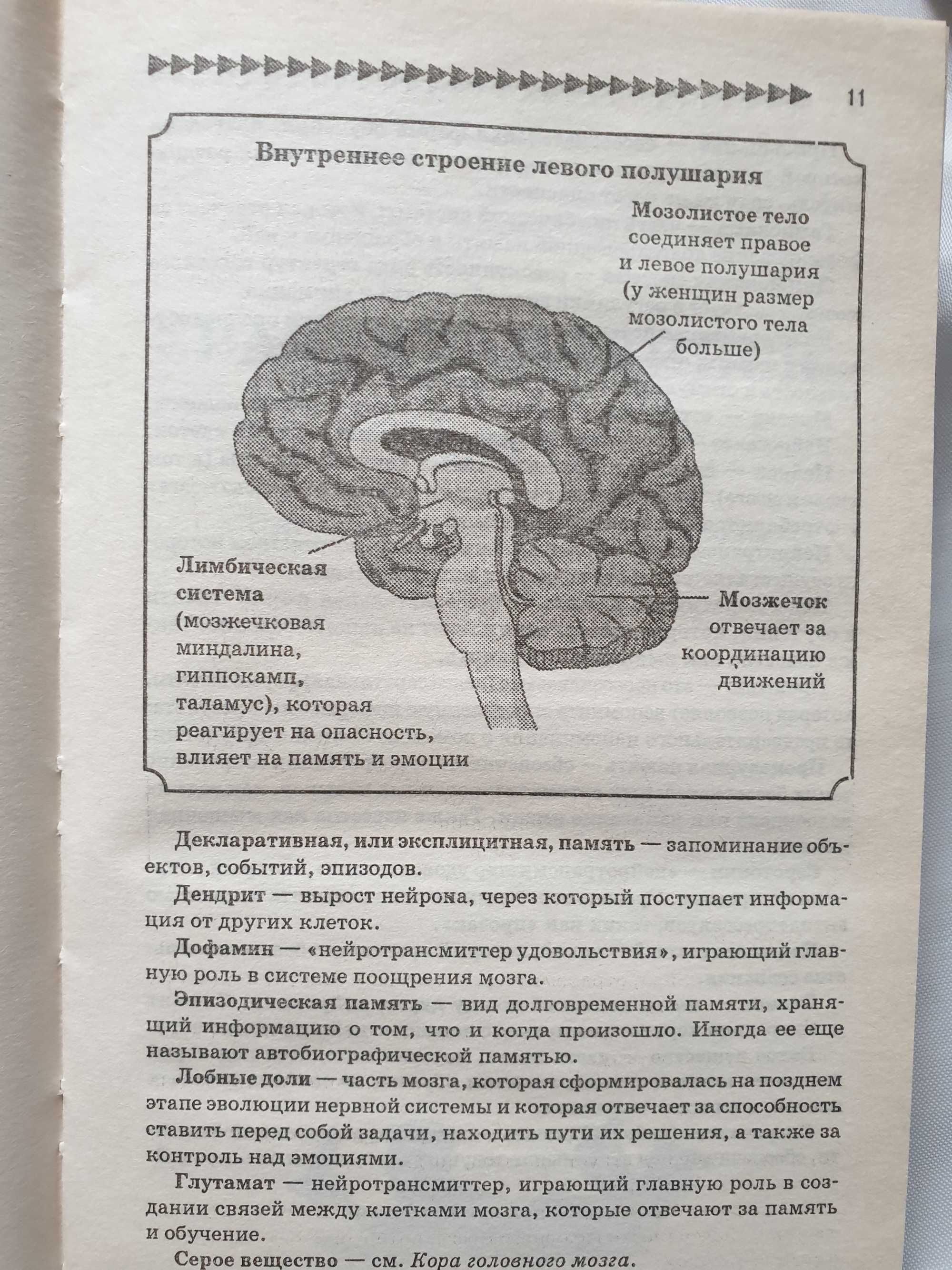 Как развить умственные способности, внимание, память книга-тренажер