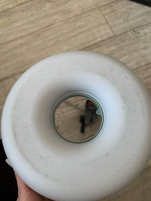 Іграшка трек для котів і кошенят Trixie