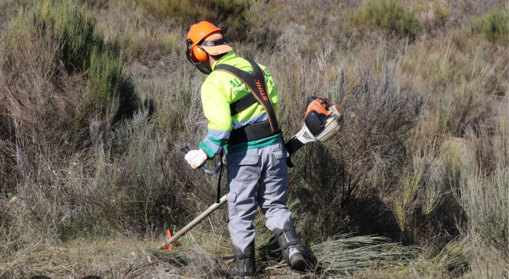 Limpeza de todo tipo de terrenos