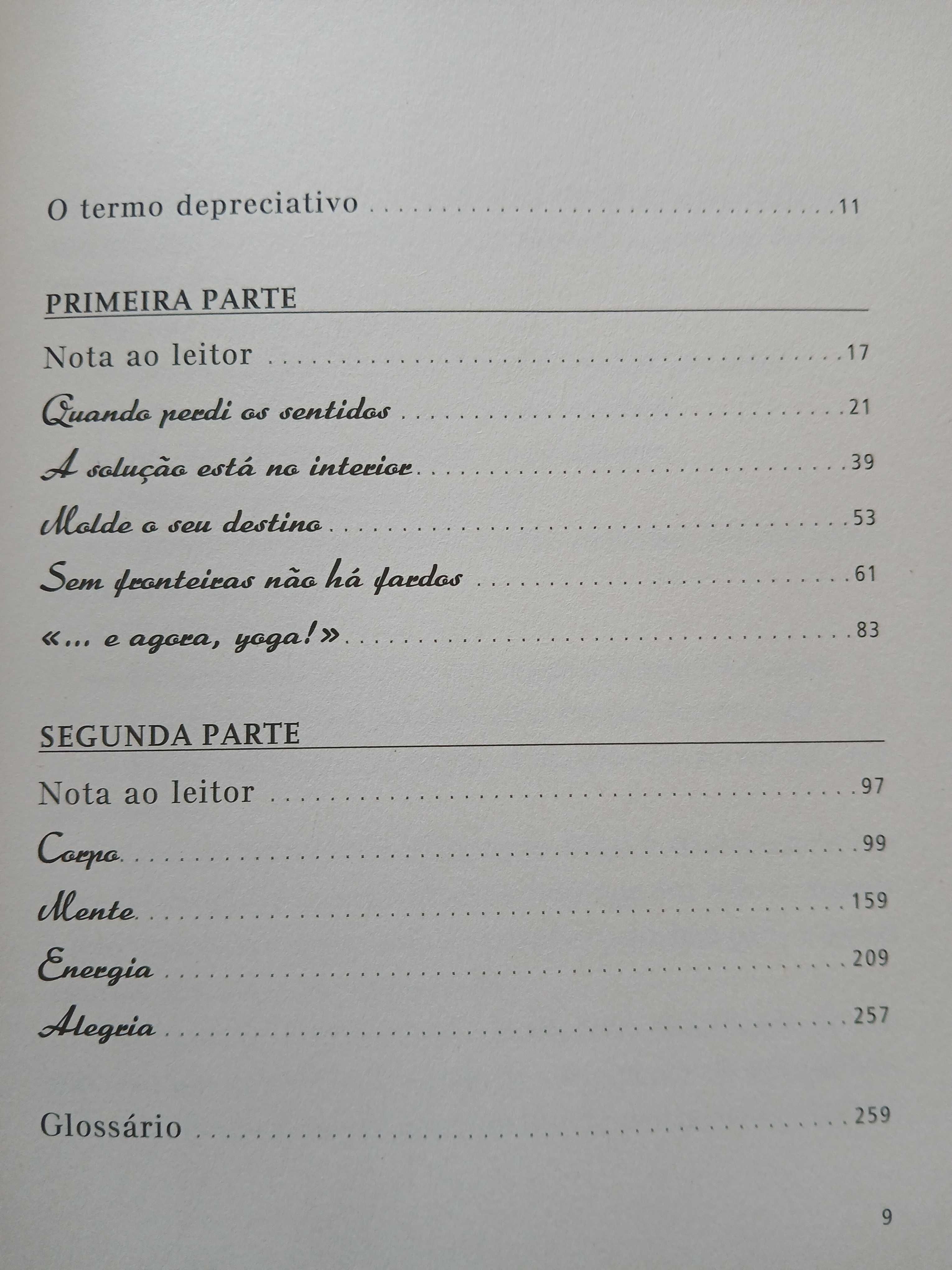 Livro Engenharia Interior. Livro Novo.
