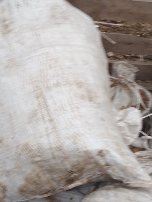 ,Навоз чистый  . конский.