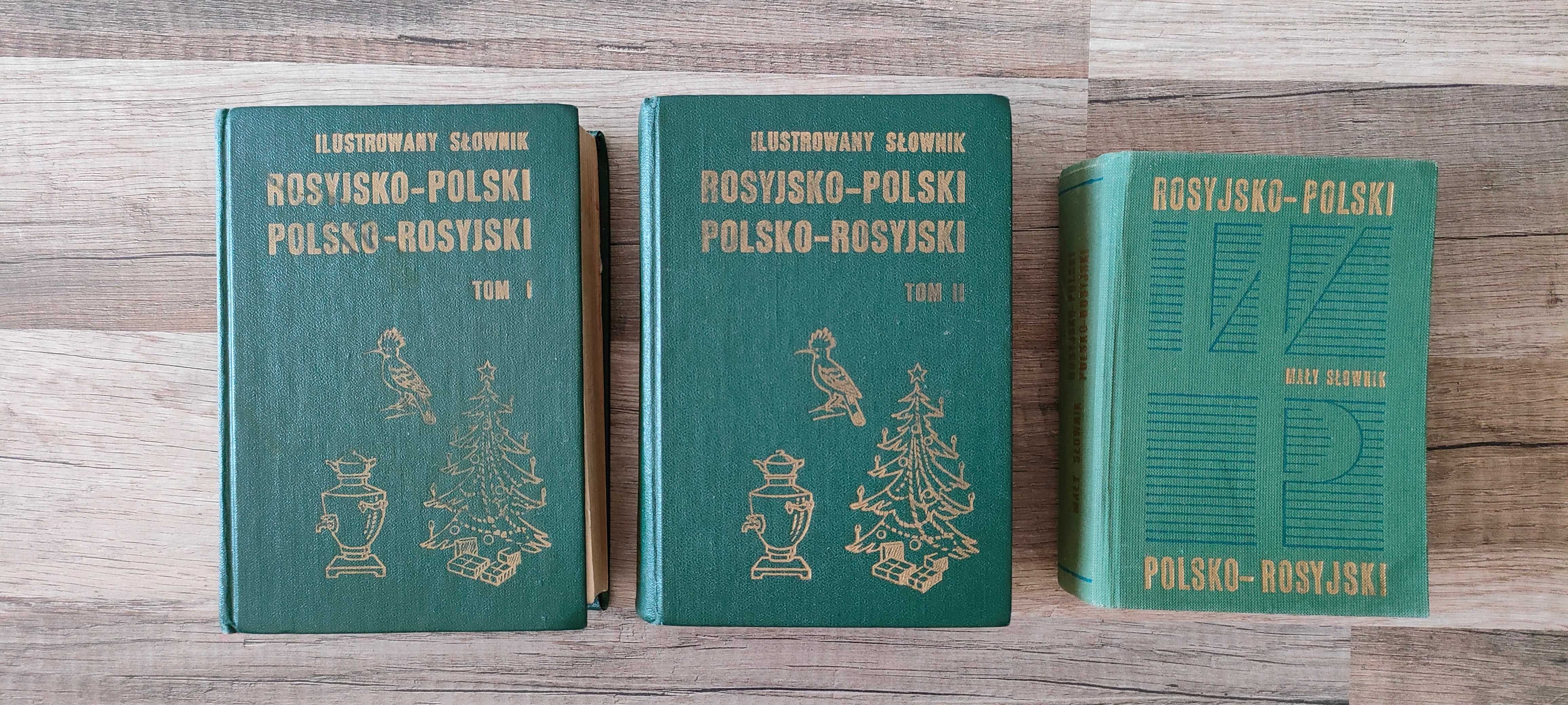 Zestaw słowników Rosyjsko-polski polsko-rosyjski 3 słowniki