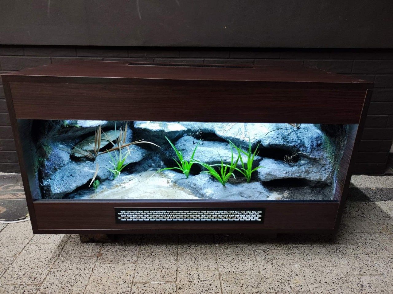 Terrarium gekon lamparci agama jaszczurka PETMARKET