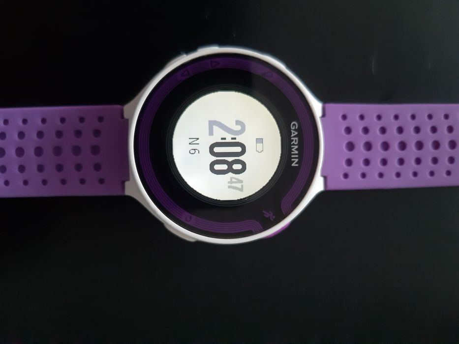 Zegarek Garmin Forerunner 220