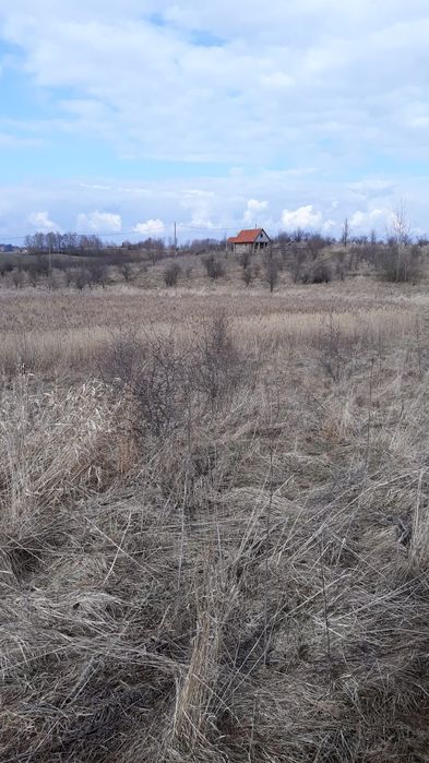 Działka 3000 m z linia brzegową stawu, Mazury ,z warunkami zabudowy na