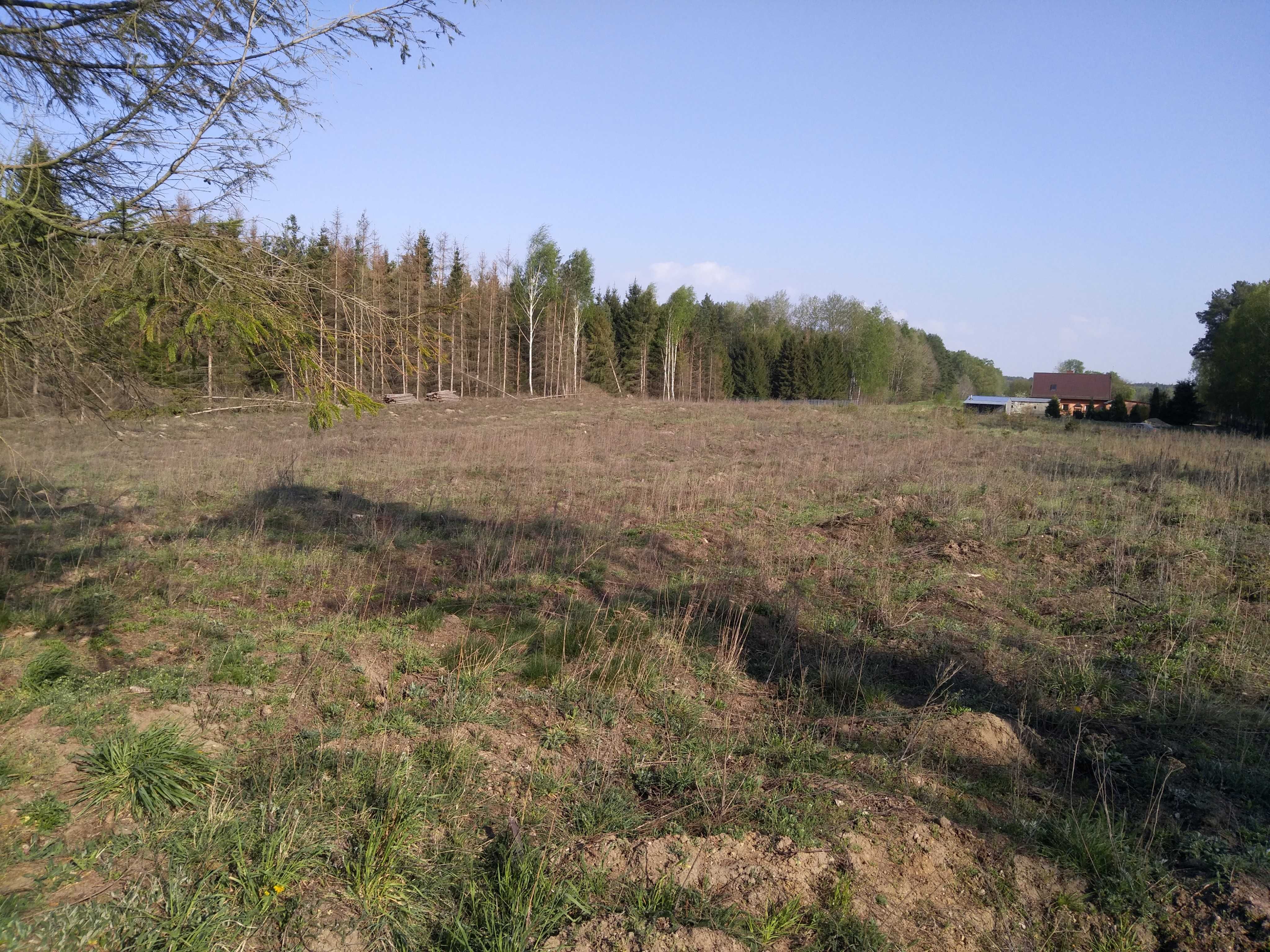 Działka budowlana warunki zabudowy przy lesie Trzciano REZERWACJA