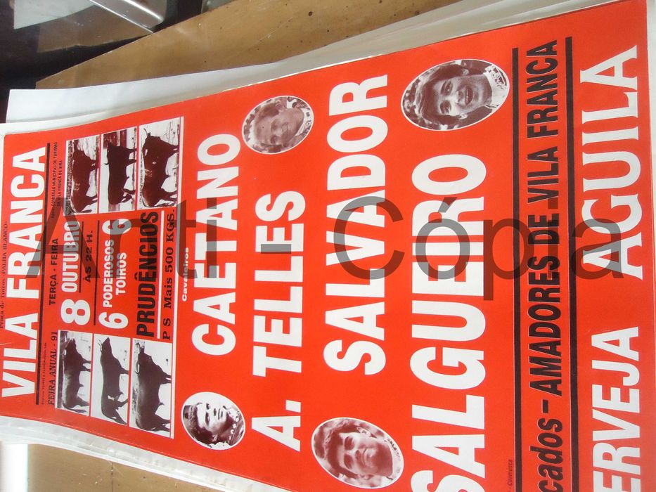 Toiros - Cartazes de Montra 12