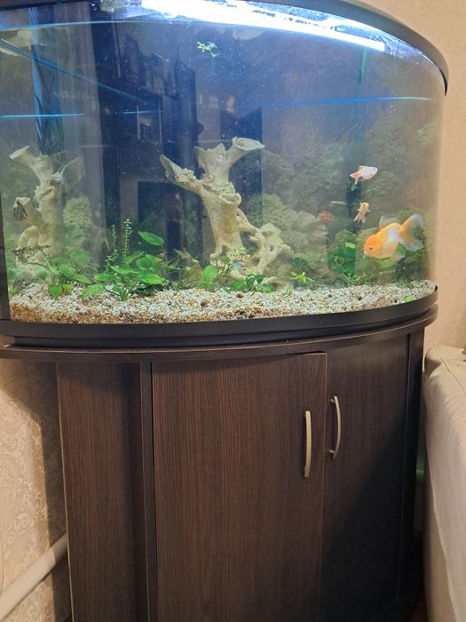 АКВАРІУМ в комплекті. 180л.