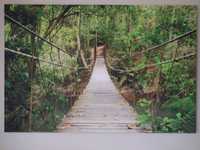 Obraz na płótnie 120x80 Tajlandia most las