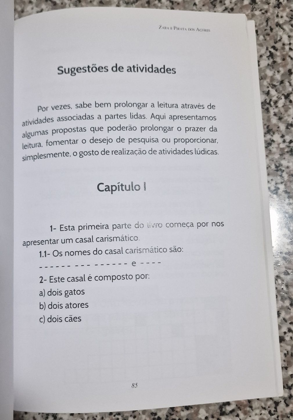 Zara e Pirata dos Açores- livro