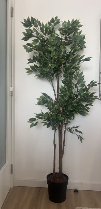 Planta artificial interior/exterior