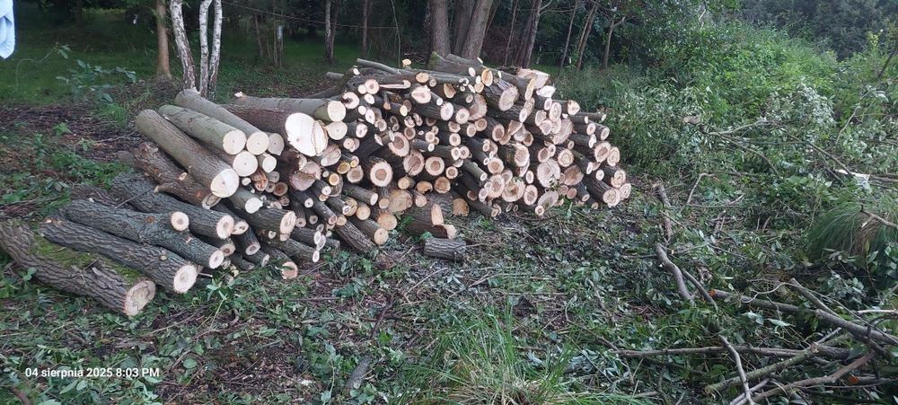 Drewno opałowe wierzba metry