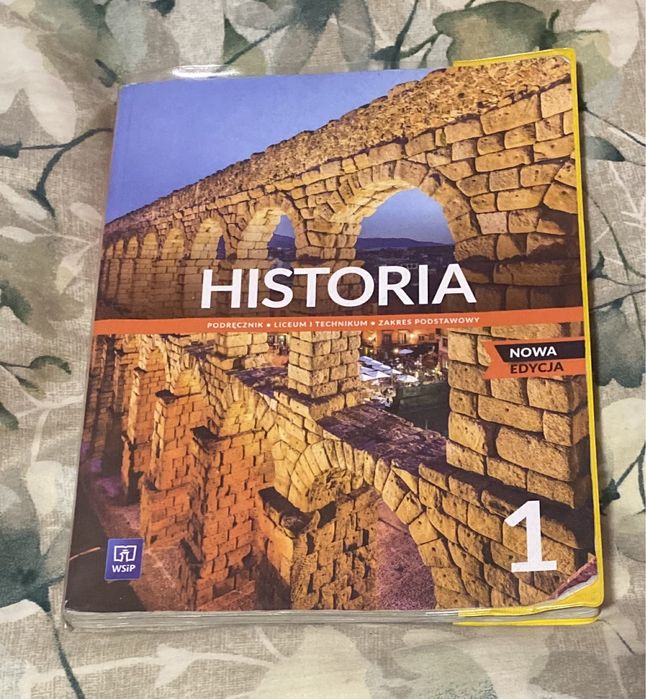 Historia WSiP klasa 1