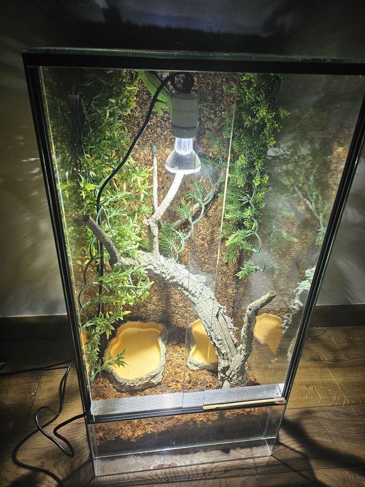 Sprzedam Terarium dla legwana bądź innego Gada