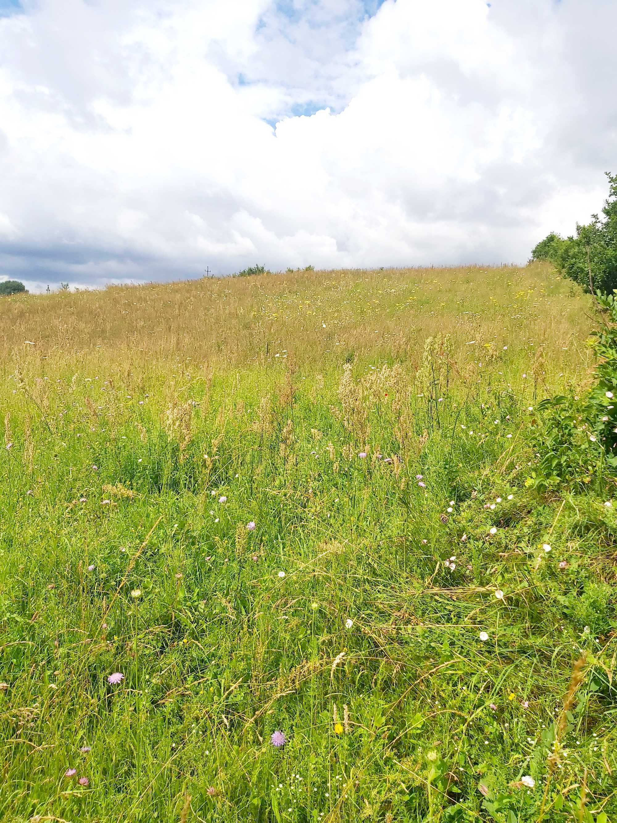 Zerbuń, budowlana , warmia i mazury  las jeziora spokój