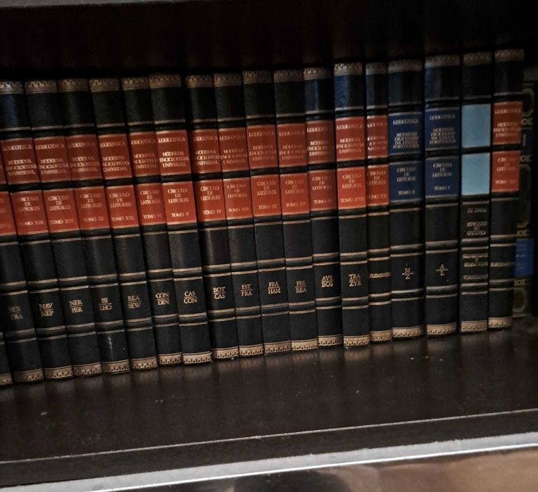Dicionário Verbo e Michaelis e Moderna Enciclopédia Universal