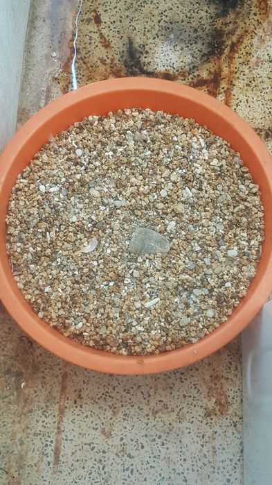 vendo ou troco areia de aquário