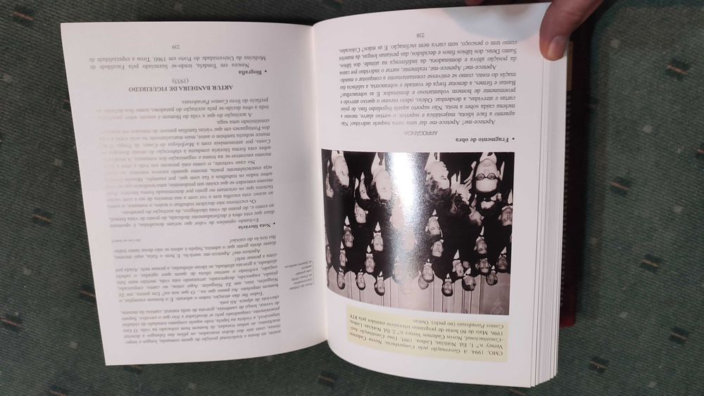 Médicos Artistas Portugueses do Século XX - Armando Moreno